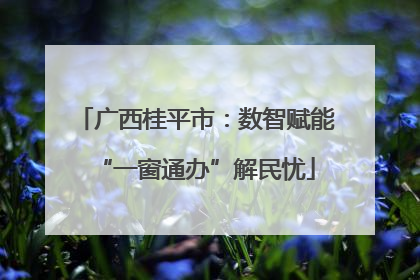 广西桂平市：数智赋能“一窗通办”解民忧